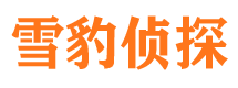 汶上市调查公司